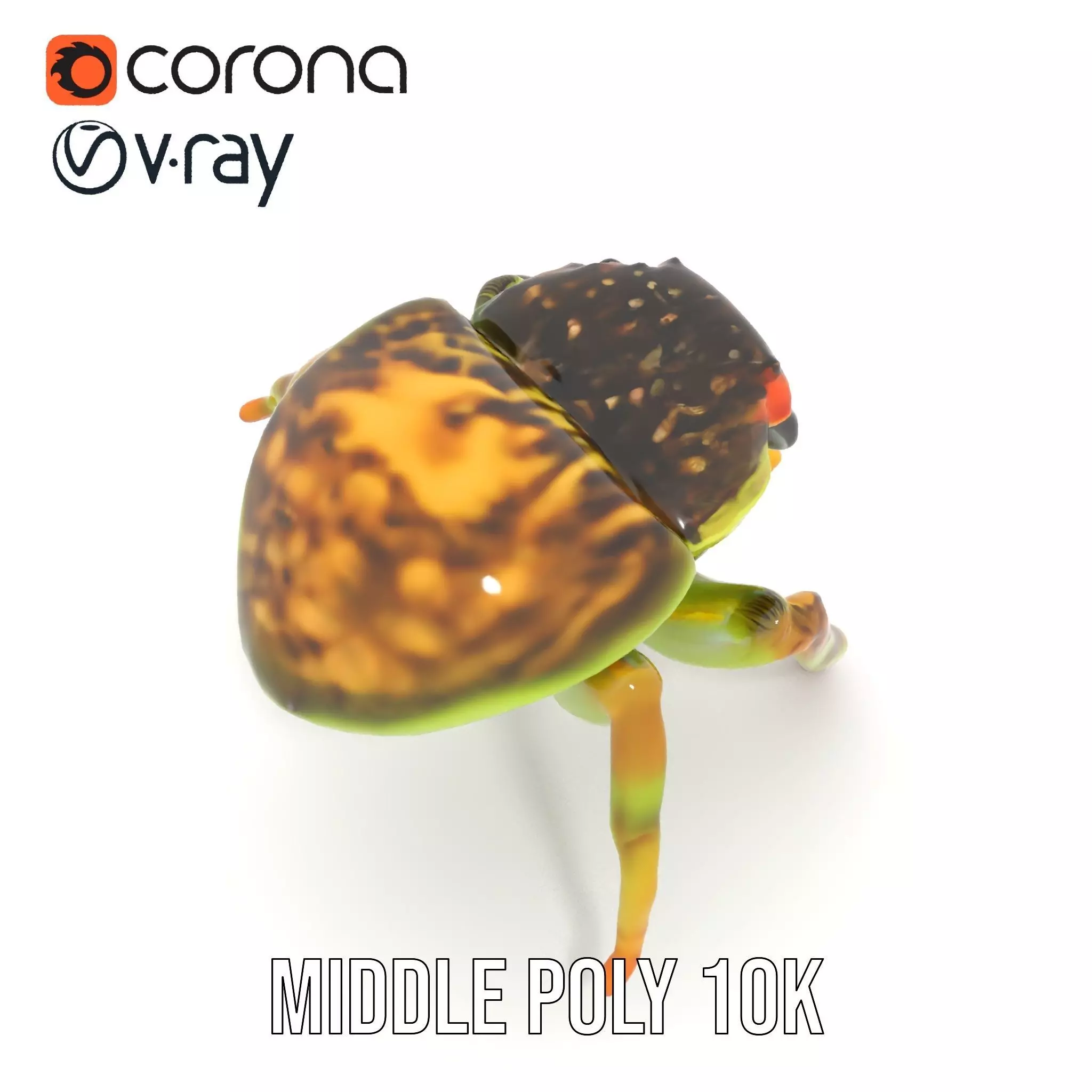 Vibrant Jumping Spider model pack Low-poly 3D model_7