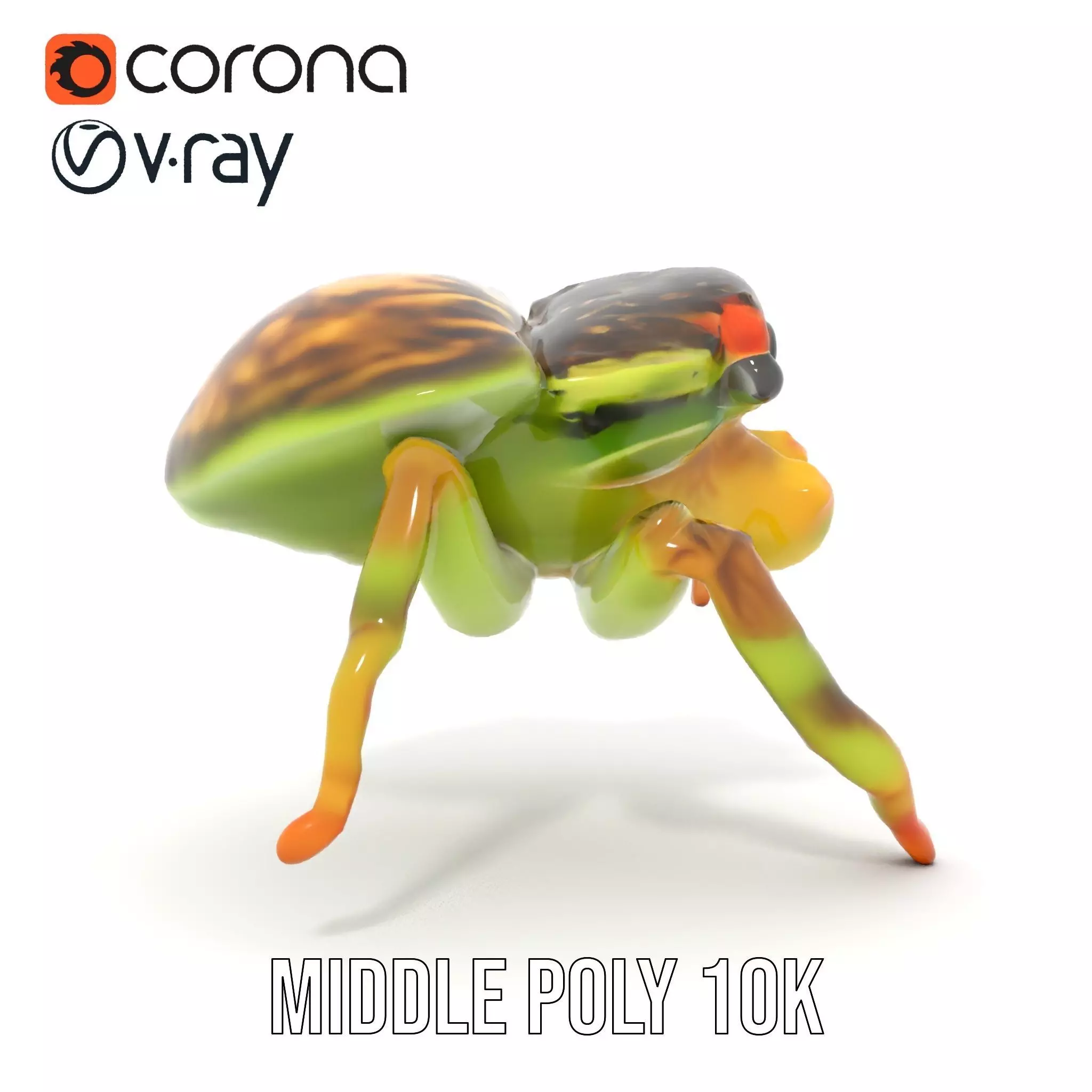 Vibrant Jumping Spider model pack Low-poly 3D model_22