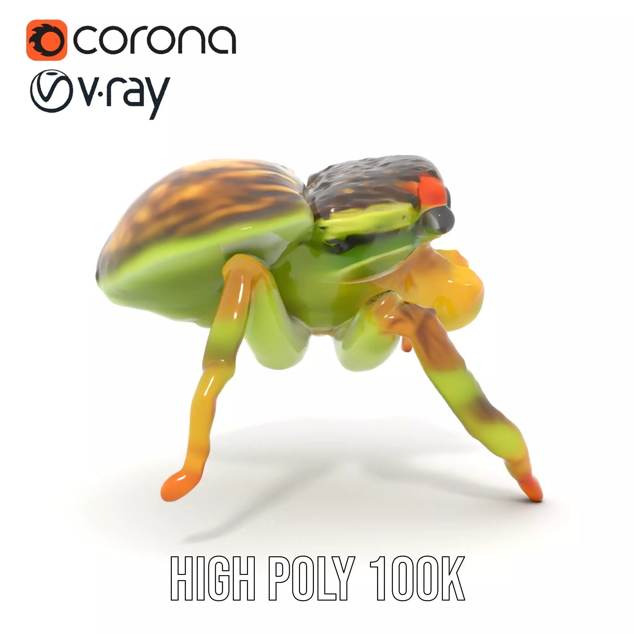 Vibrant Jumping Spider model pack Low-poly 3D model_16