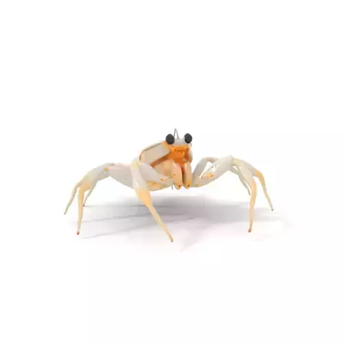 White Crab model pack