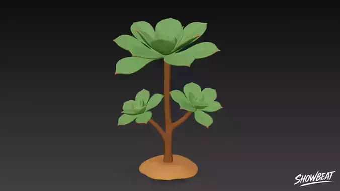 Cartoon Aeonium arboreum