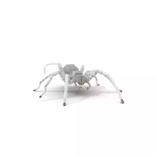 Transparent Spider Glass model pack Low-poly 3D model