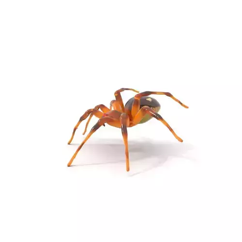 Spotted Spider Texture model pack Low-poly 3D model