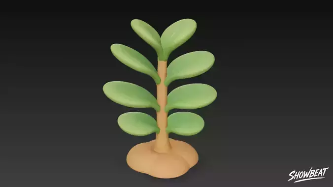 Cartoon Crassula ovata