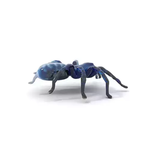 Blue Tarantula Arachnid model pack Low-poly 3D model