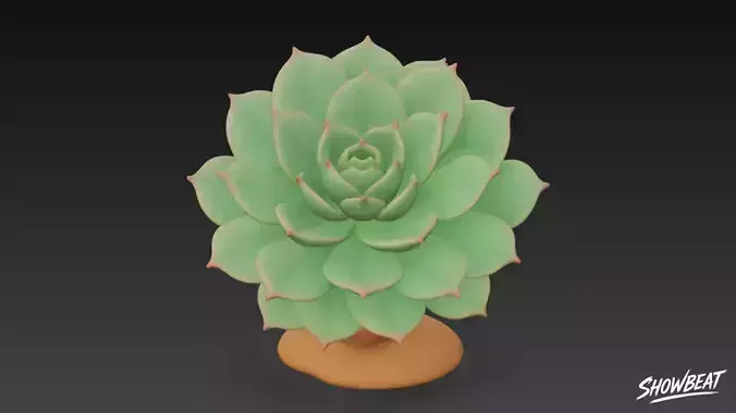 Cartoon Echeveria
