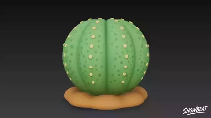 Cartoon Euphorbia obesa