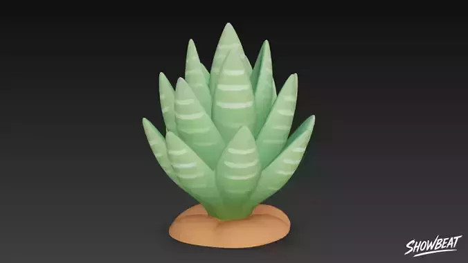 Cartoon Haworthia