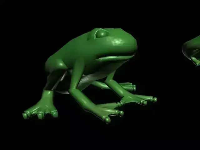 frog mesh