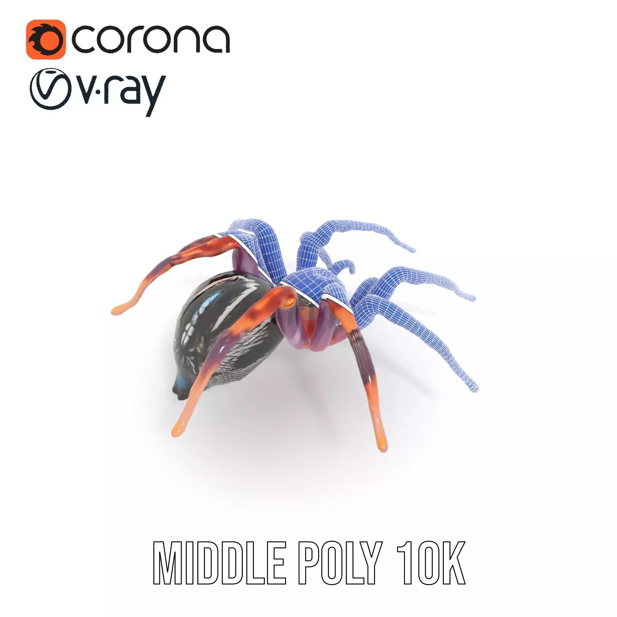 Vibrant Spider model pack Low-poly 3D model_27