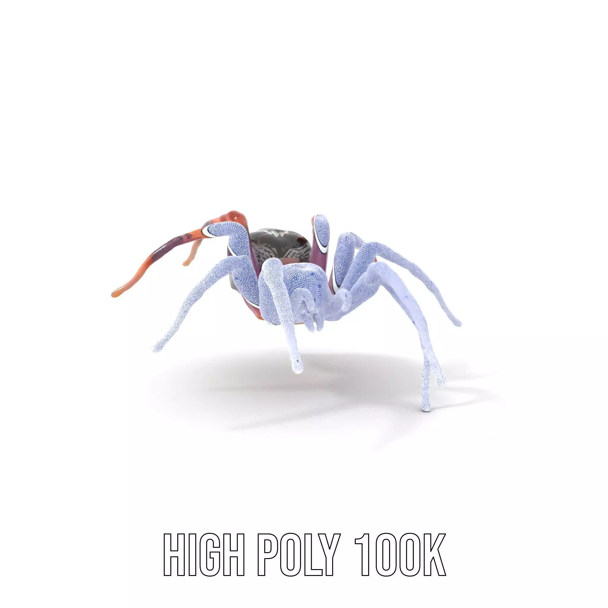 Vibrant Spider model pack Low-poly 3D model_5