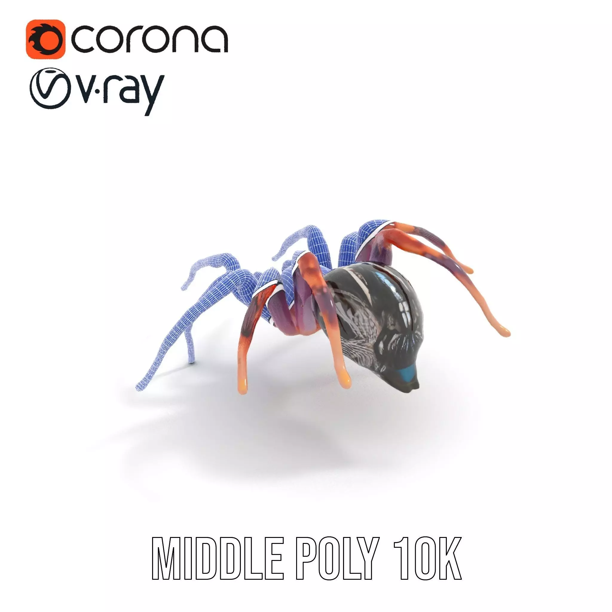 Vibrant Spider model pack Low-poly 3D model_22