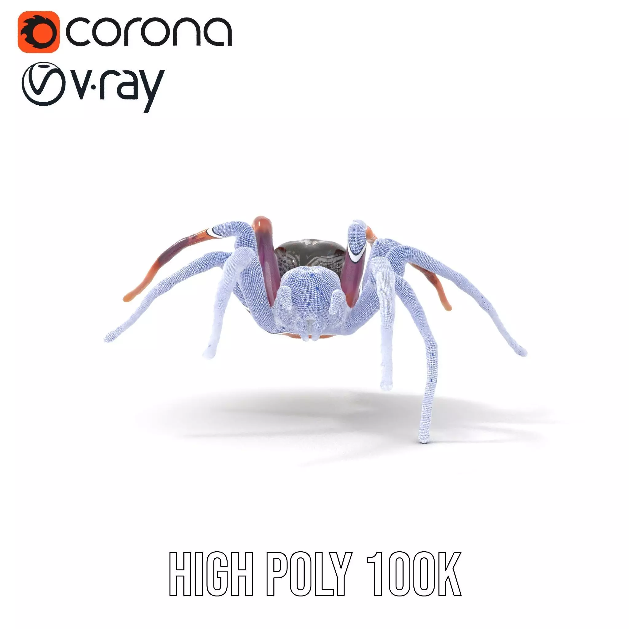 Vibrant Spider model pack Low-poly 3D model_35