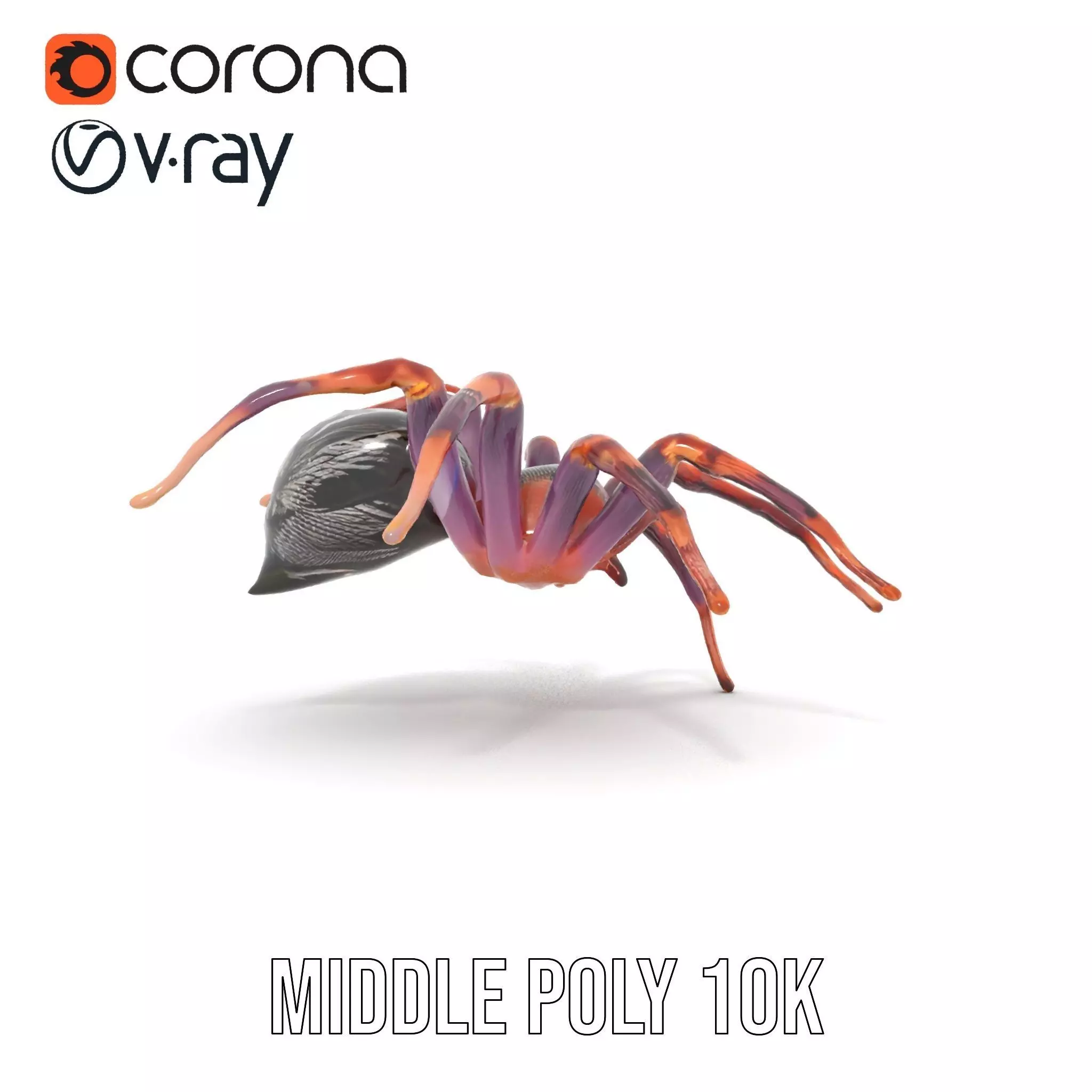 Vibrant Spider model pack Low-poly 3D model_17