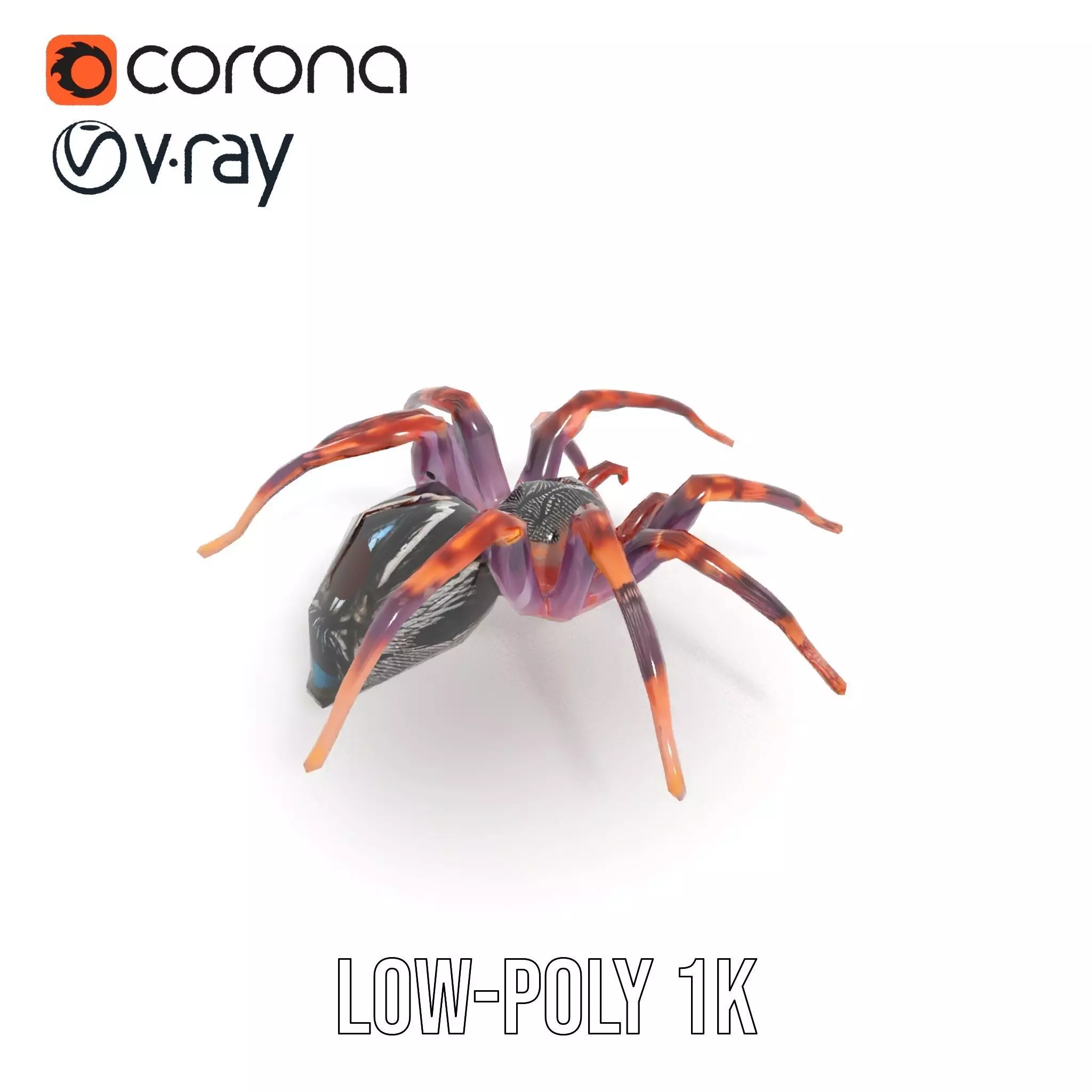 Vibrant Spider model pack Low-poly 3D model_28