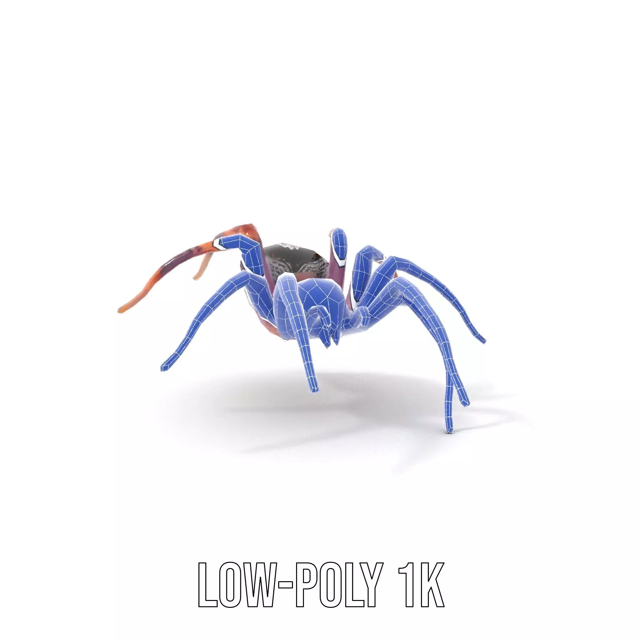 Vibrant Spider model pack Low-poly 3D model_13
