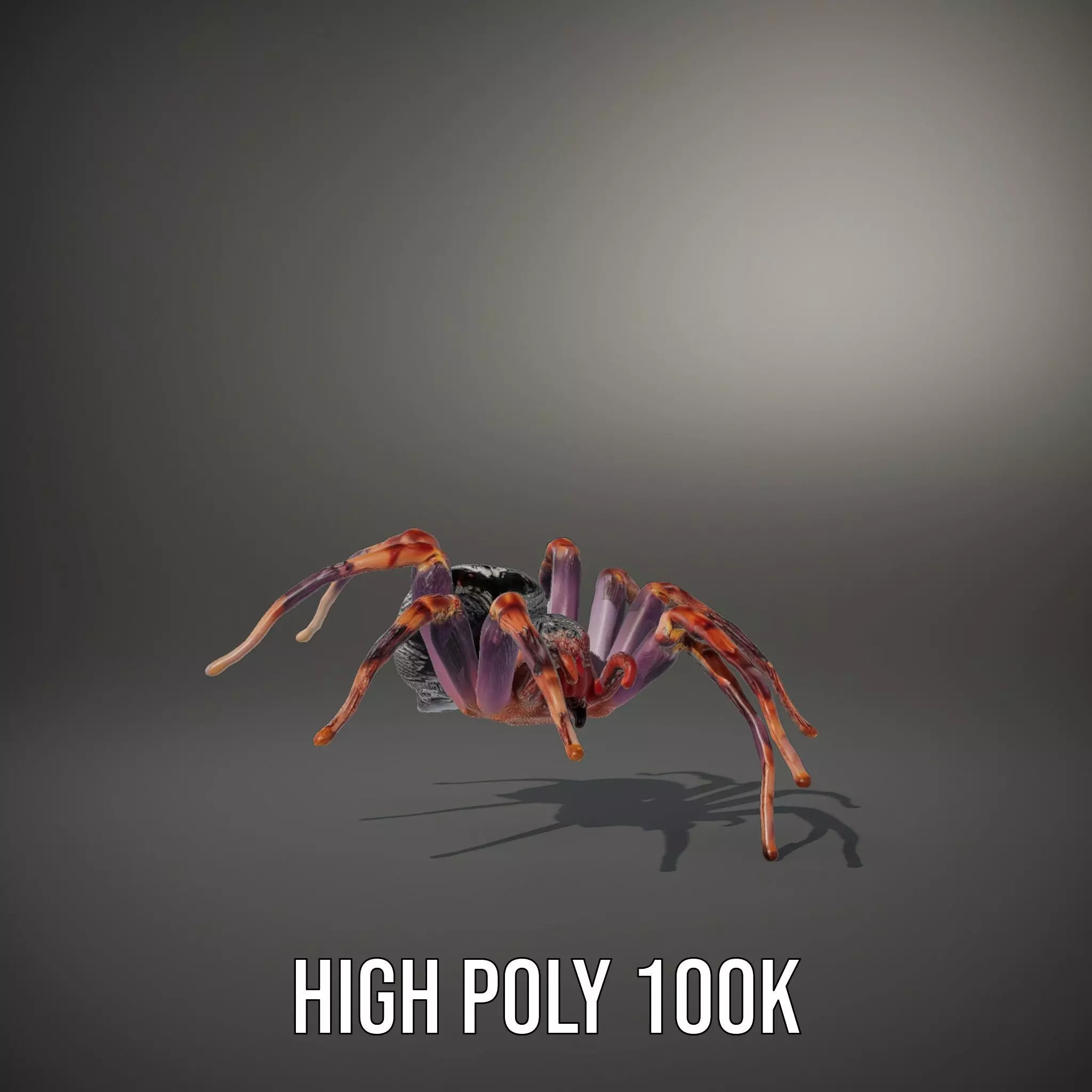 Vibrant Spider model pack Low-poly 3D model_9