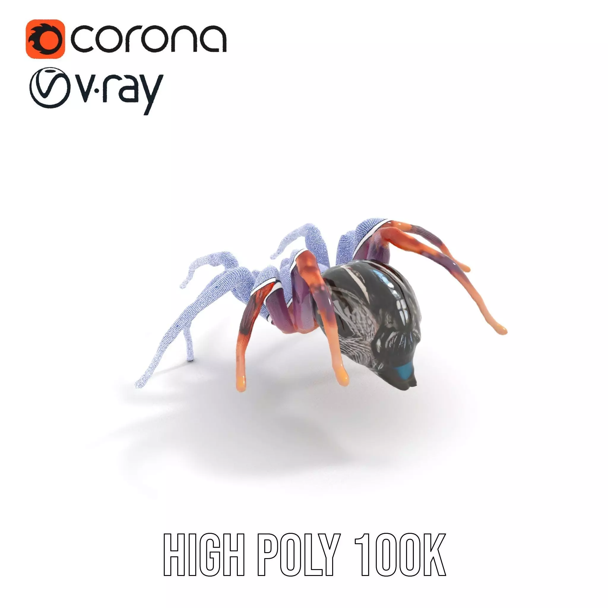 Vibrant Spider model pack Low-poly 3D model_21