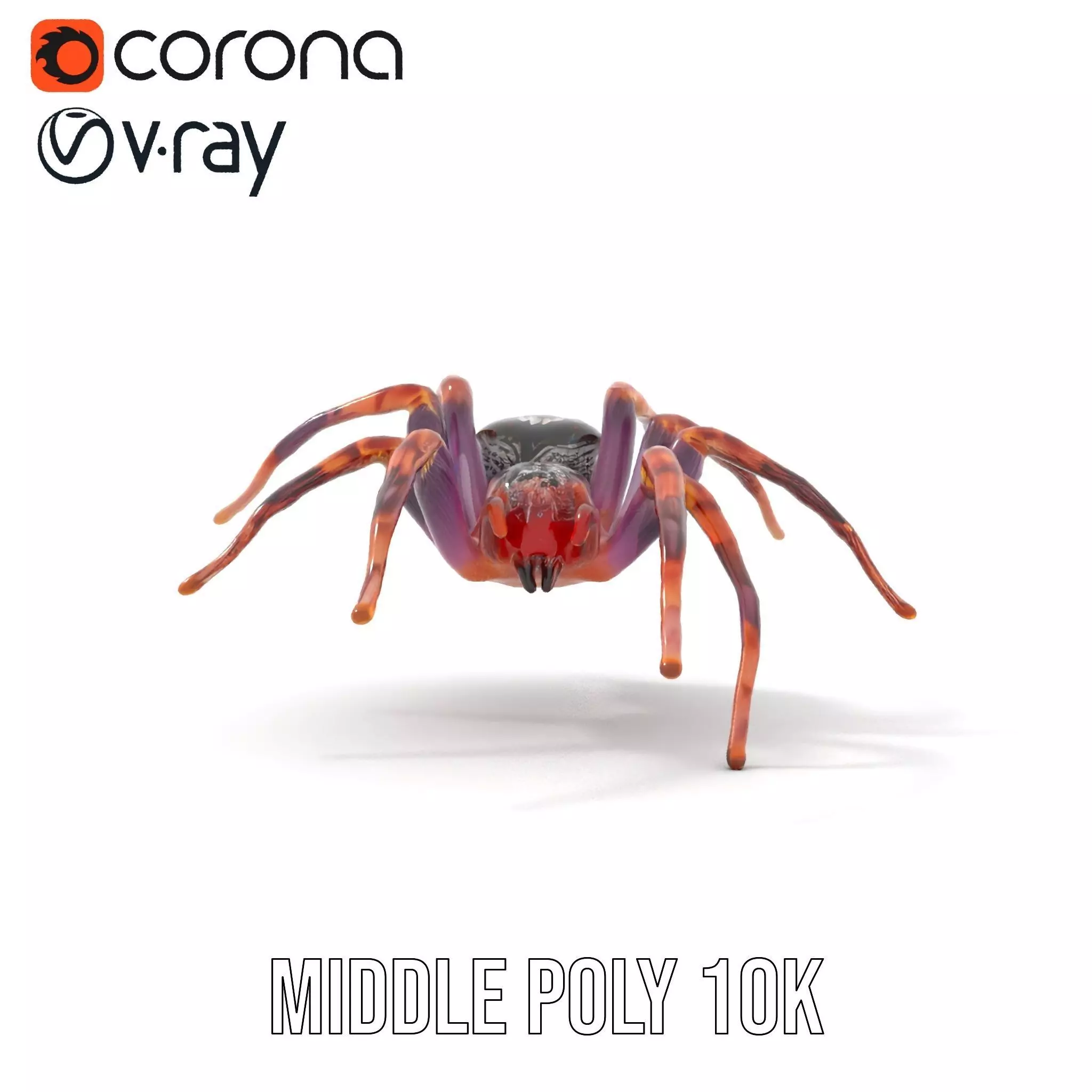Vibrant Spider model pack Low-poly 3D model_6