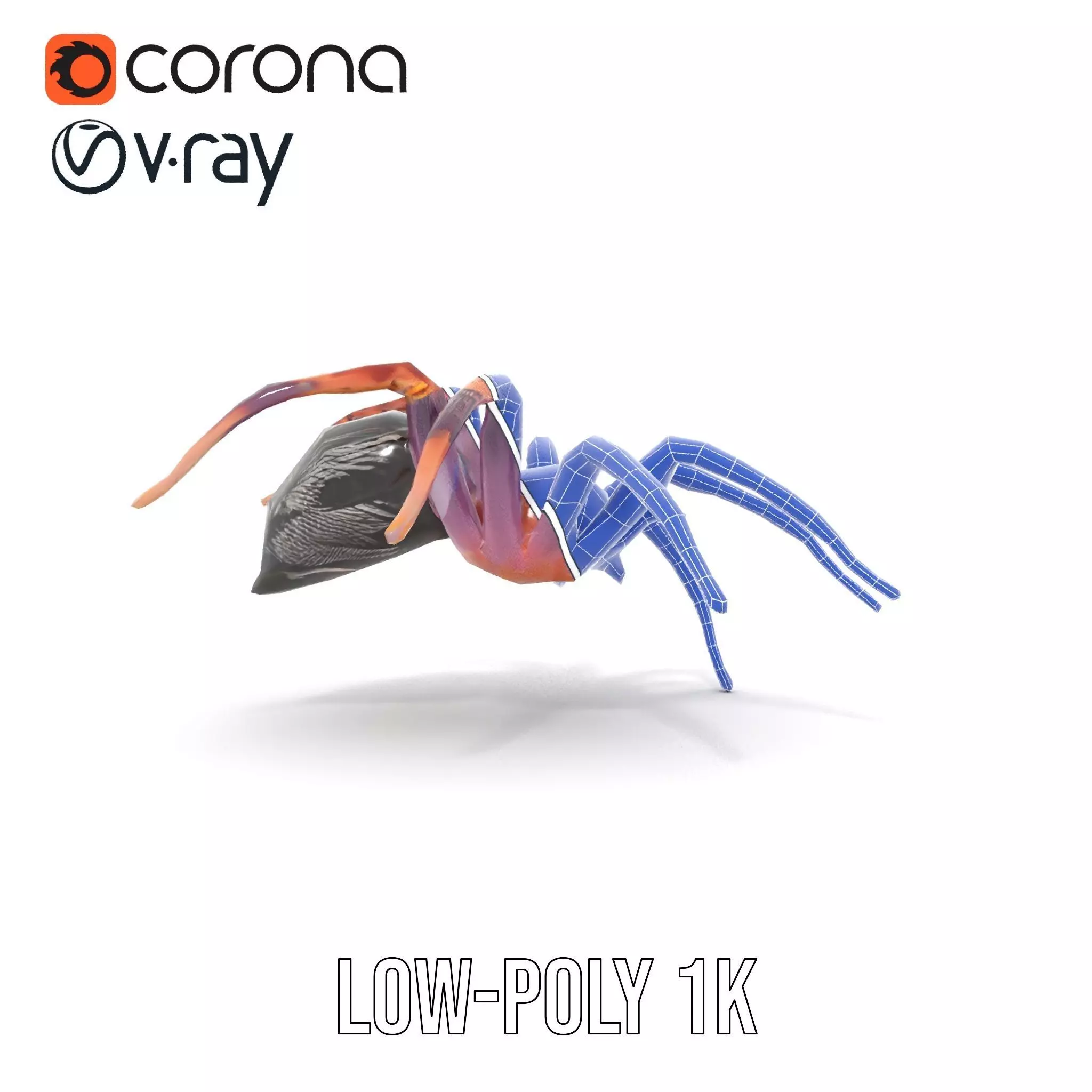 Vibrant Spider model pack Low-poly 3D model_10