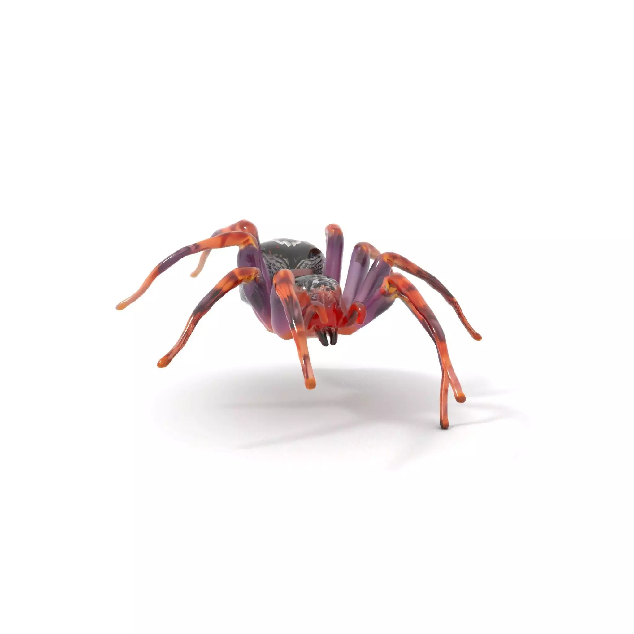 Vibrant Spider model pack Low-poly 3D model_7