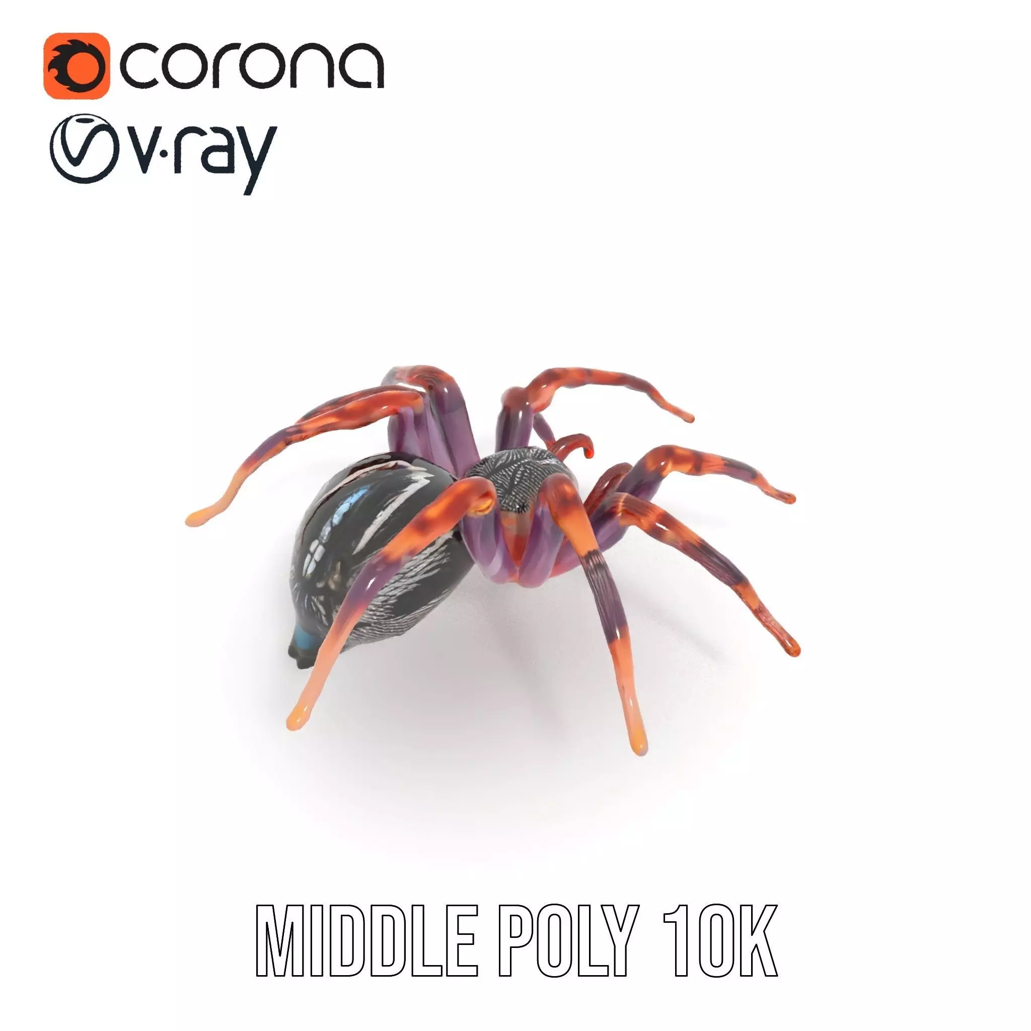 Vibrant Spider model pack Low-poly 3D model_19