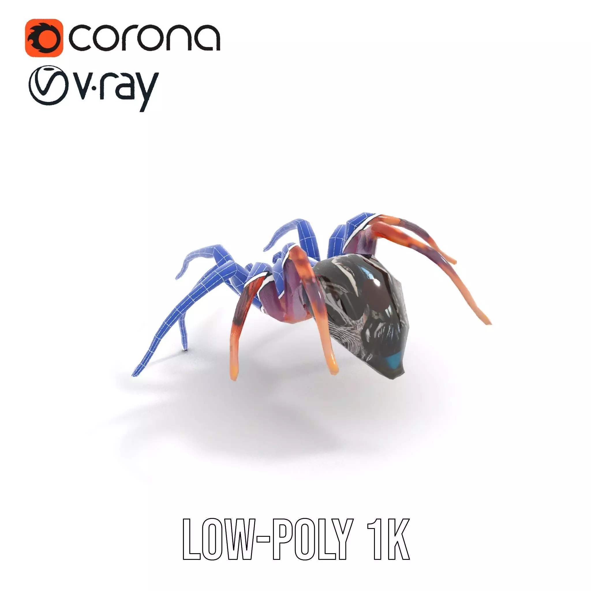 Vibrant Spider model pack Low-poly 3D model_18