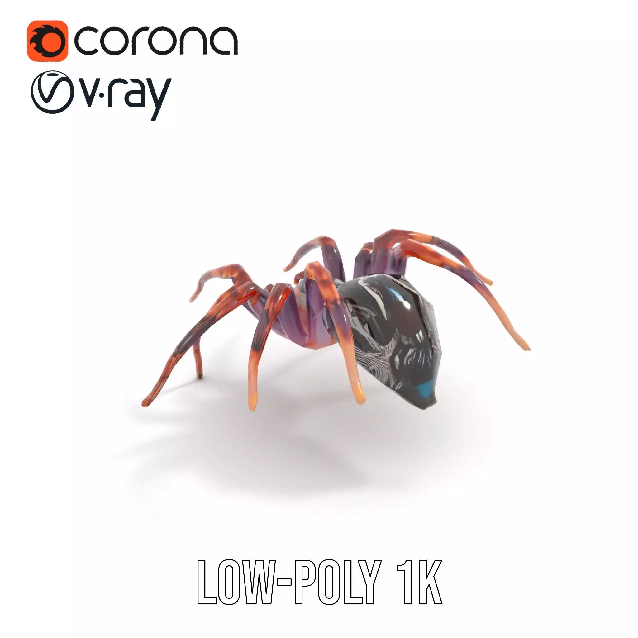 Vibrant Spider model pack Low-poly 3D model_8