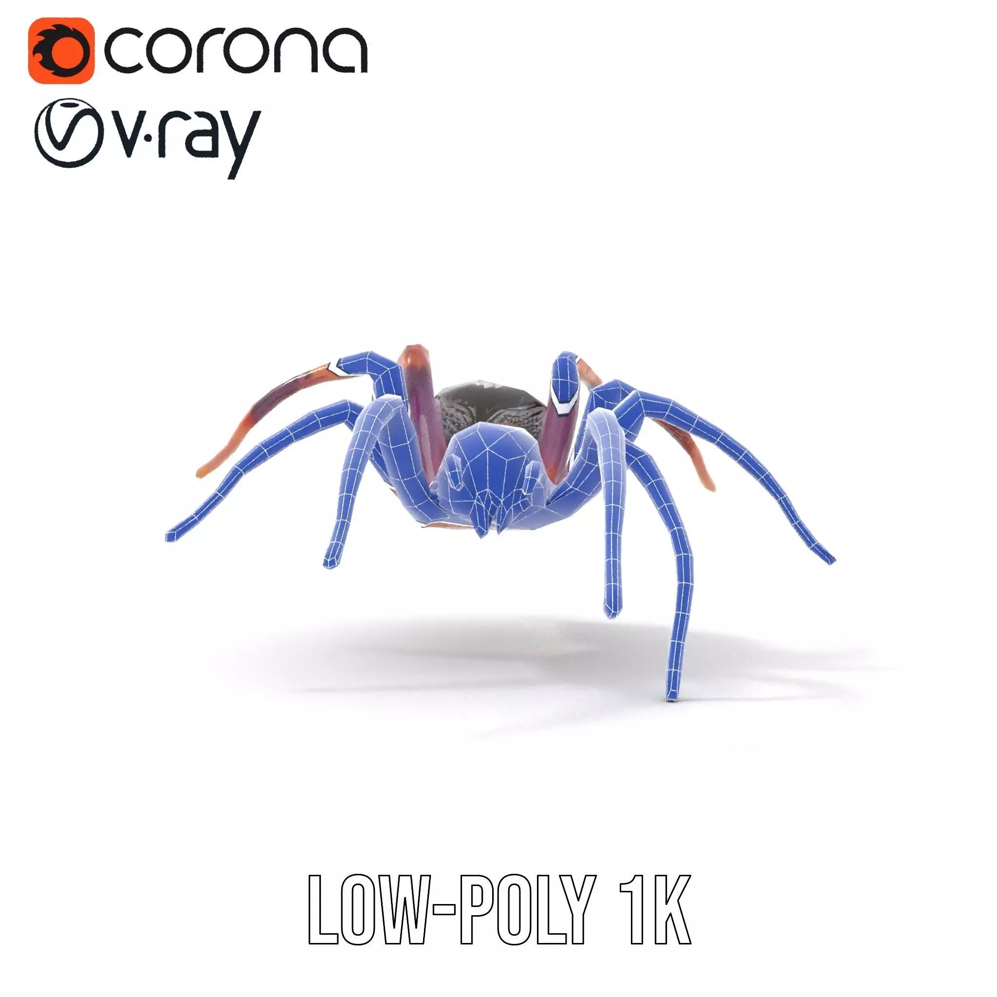 Vibrant Spider model pack Low-poly 3D model_25