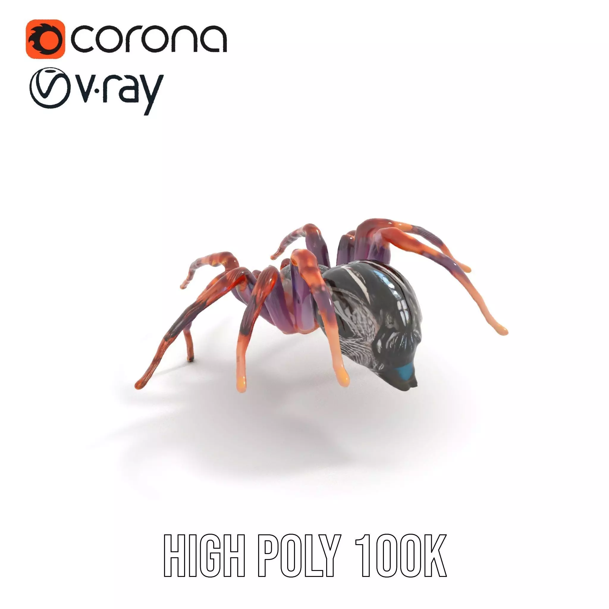 Vibrant Spider model pack Low-poly 3D model_32