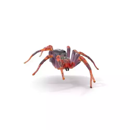 Vibrant Spider model pack
