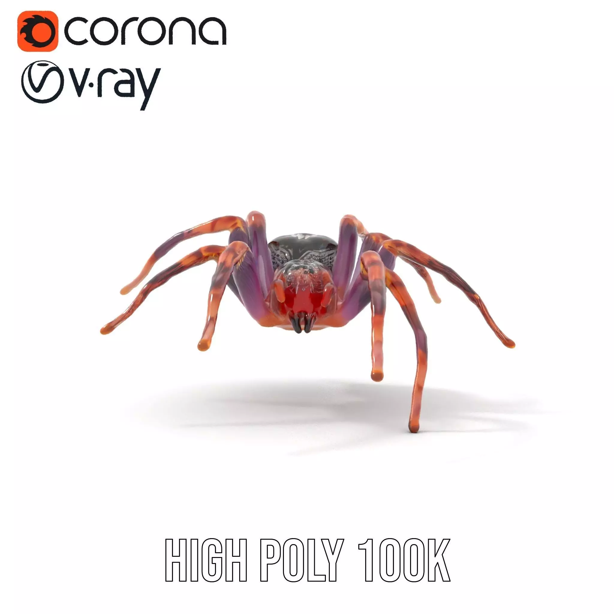 Vibrant Spider model pack Low-poly 3D model_16