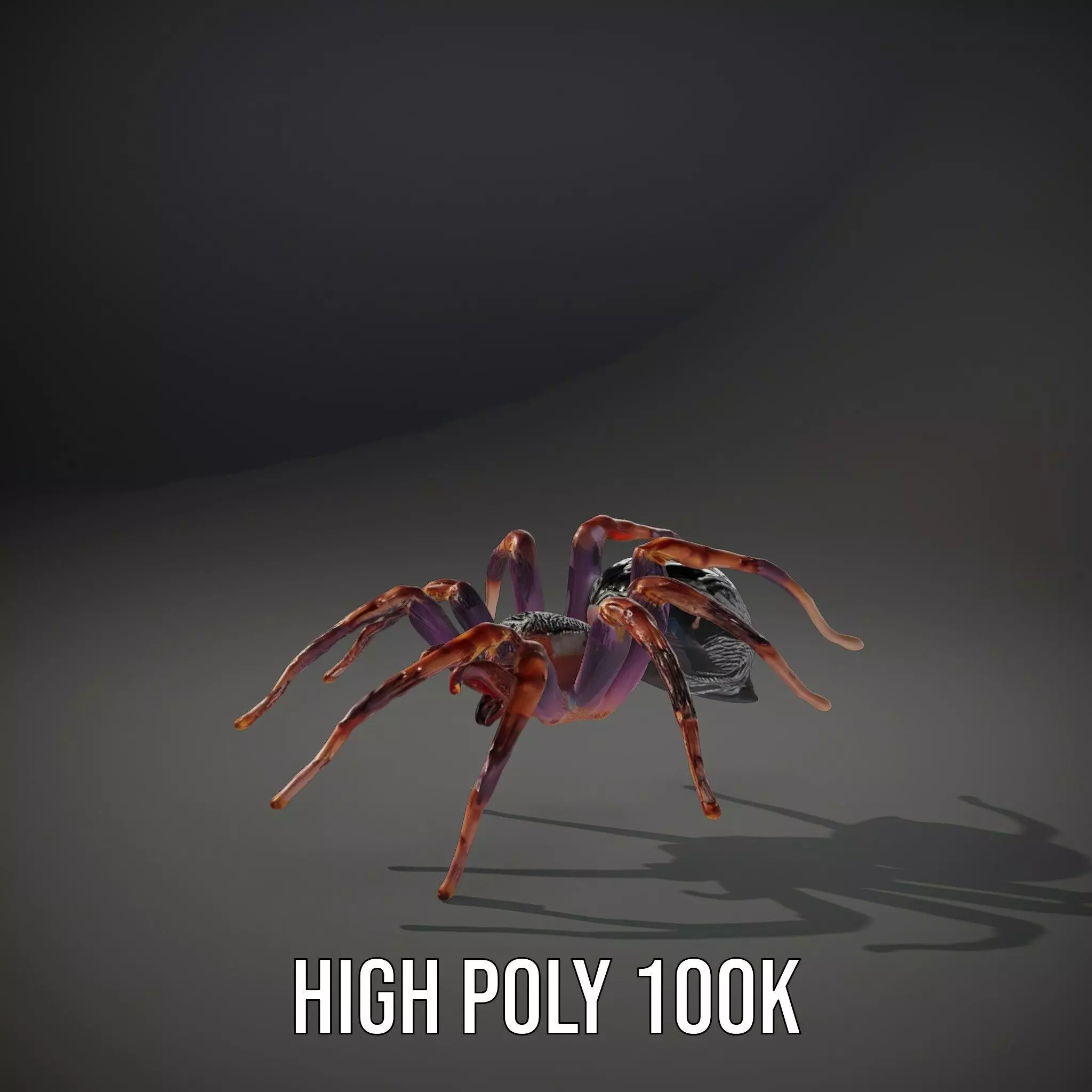 Vibrant Spider model pack Low-poly 3D model_11