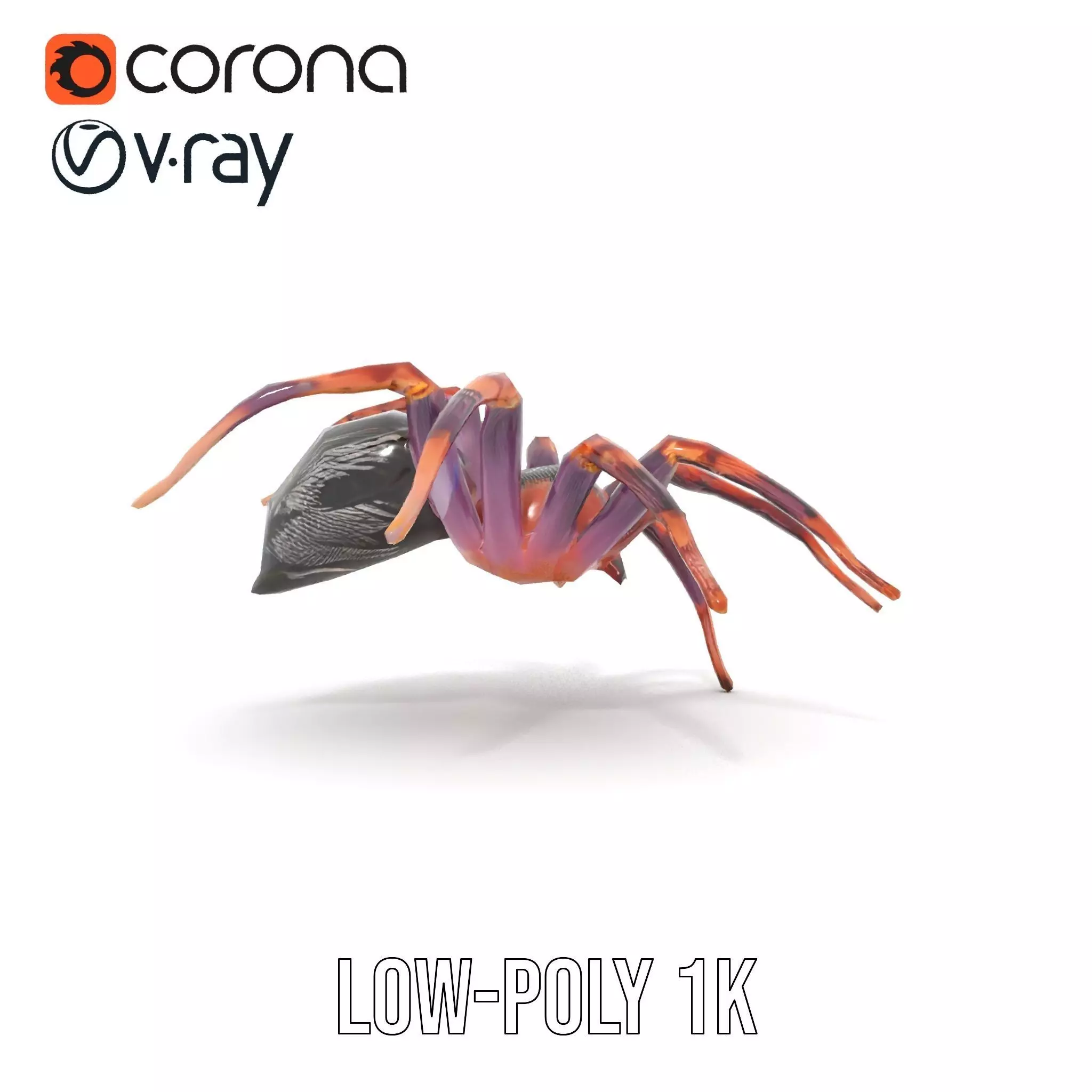 Vibrant Spider model pack Low-poly 3D model_15