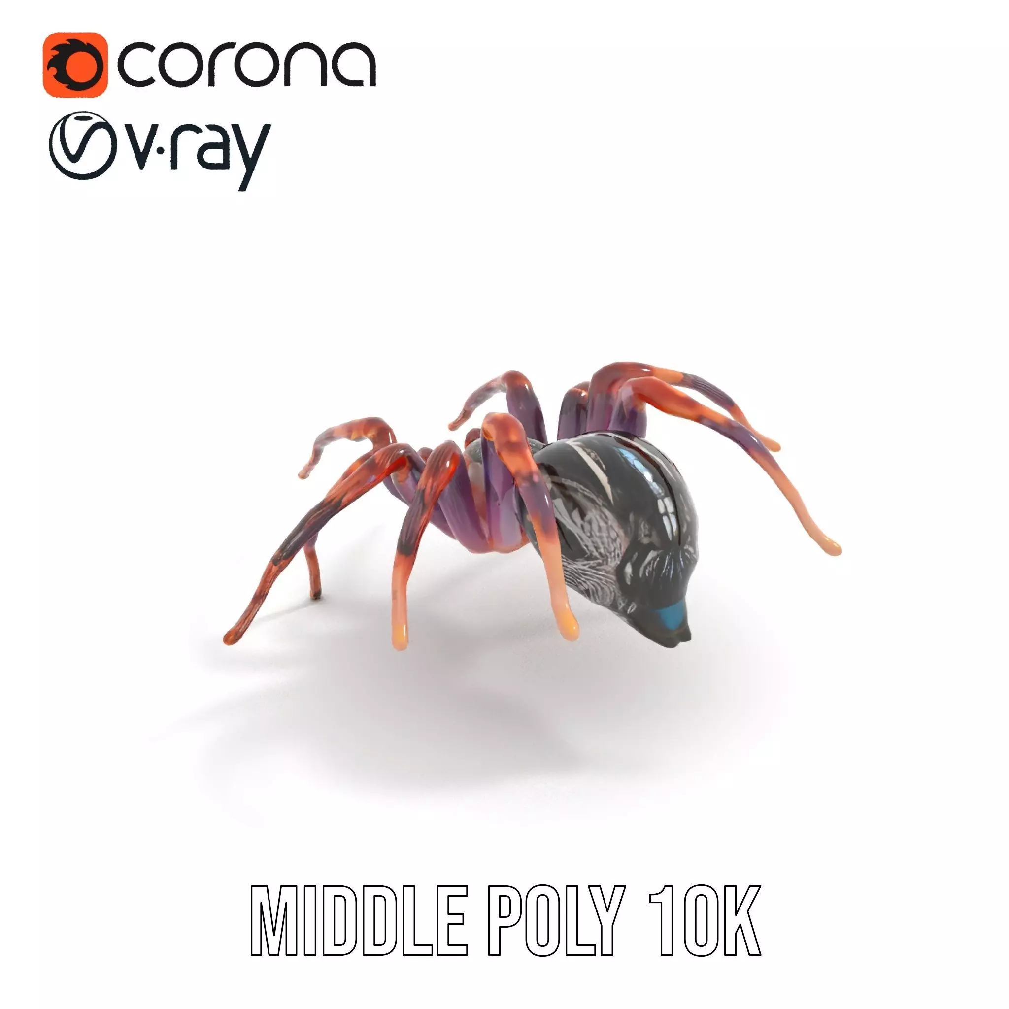 Vibrant Spider model pack Low-poly 3D model_12
