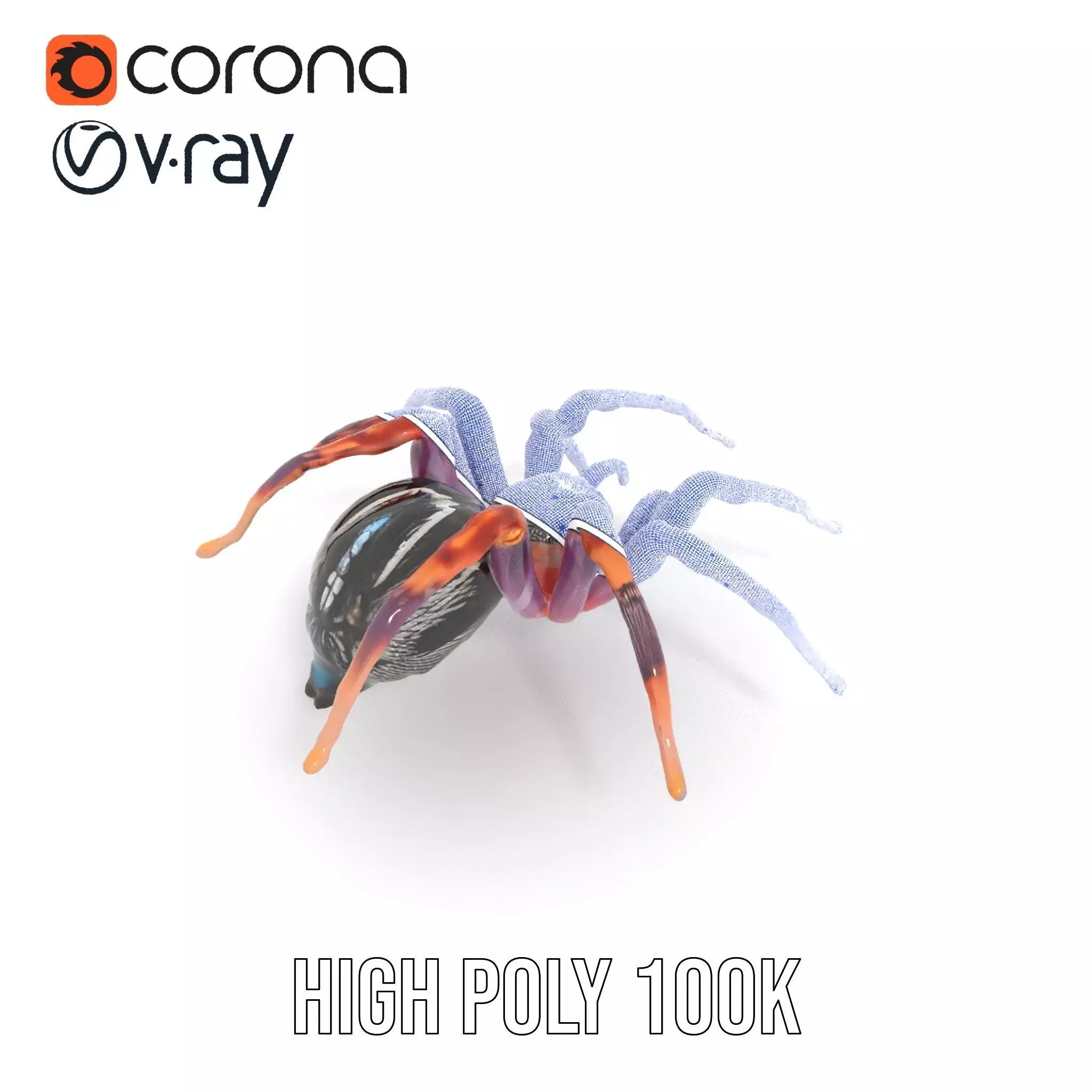 Vibrant Spider model pack Low-poly 3D model_33