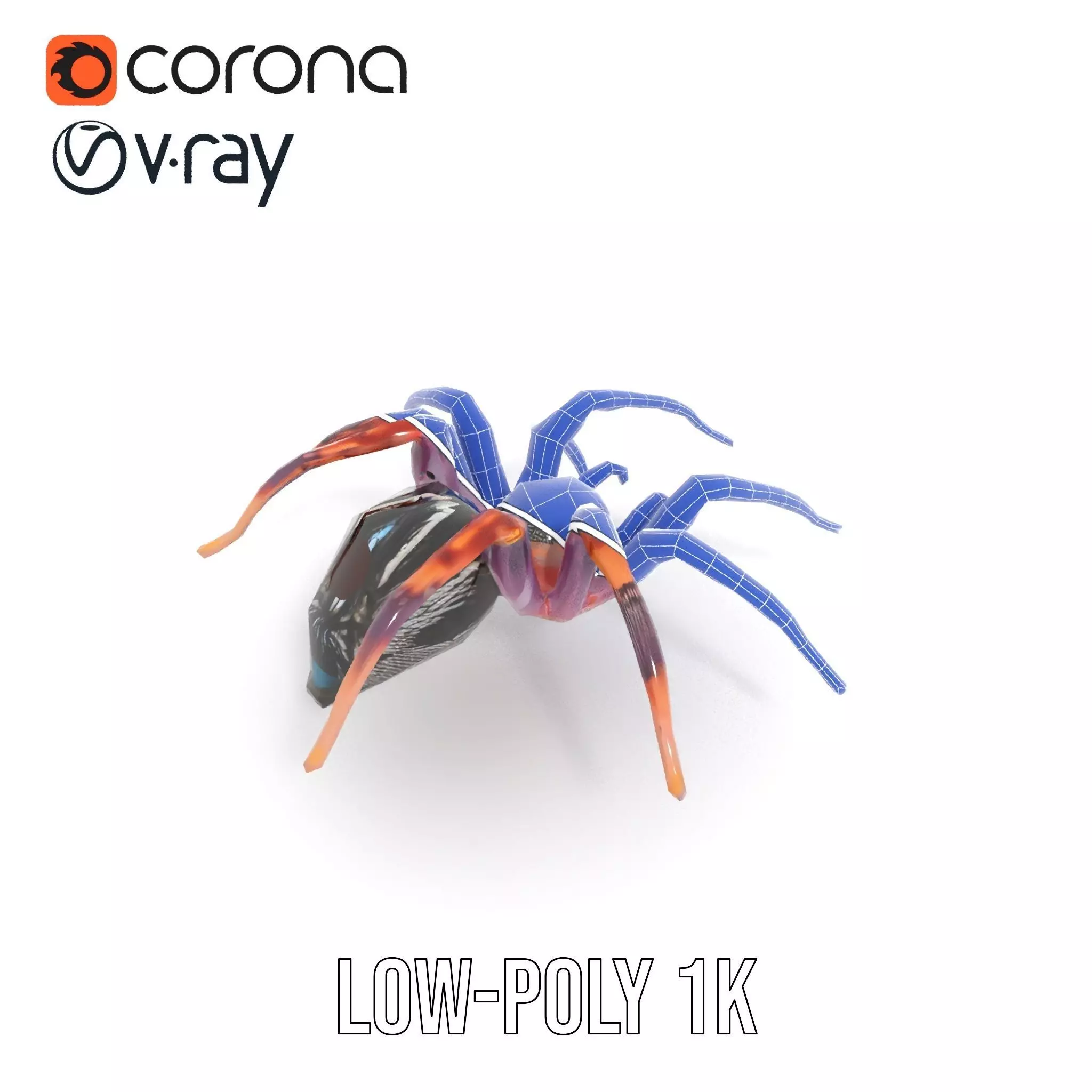 Vibrant Spider model pack Low-poly 3D model_20