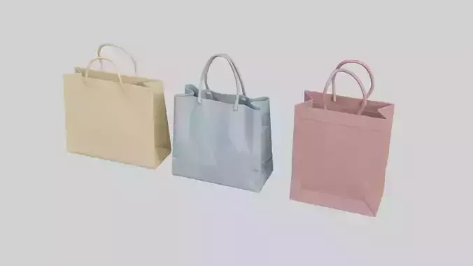 3D Shopping Bags