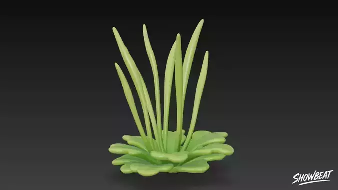 Cartoon Anthoceros punctatus