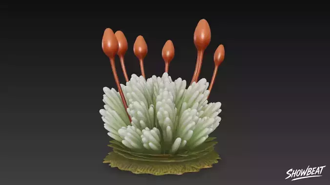 Cartoon Bryum argenteum