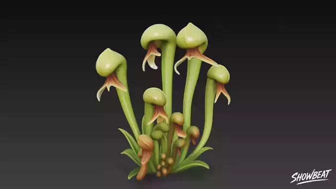 Cartoon Darlingtonia californica