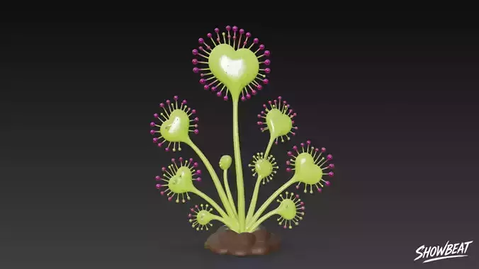 Cartoon Drosera magnifica
