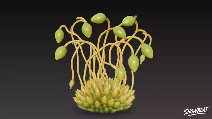 Cartoon Funaria hygrometrica