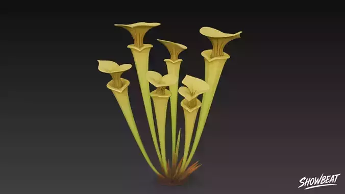 Cartoon Sarracenia flava
