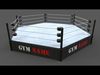 PBR Modular Boxing and Wrestling Rings Collection _17