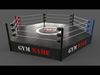 PBR Modular Boxing and Wrestling Rings Collection _18