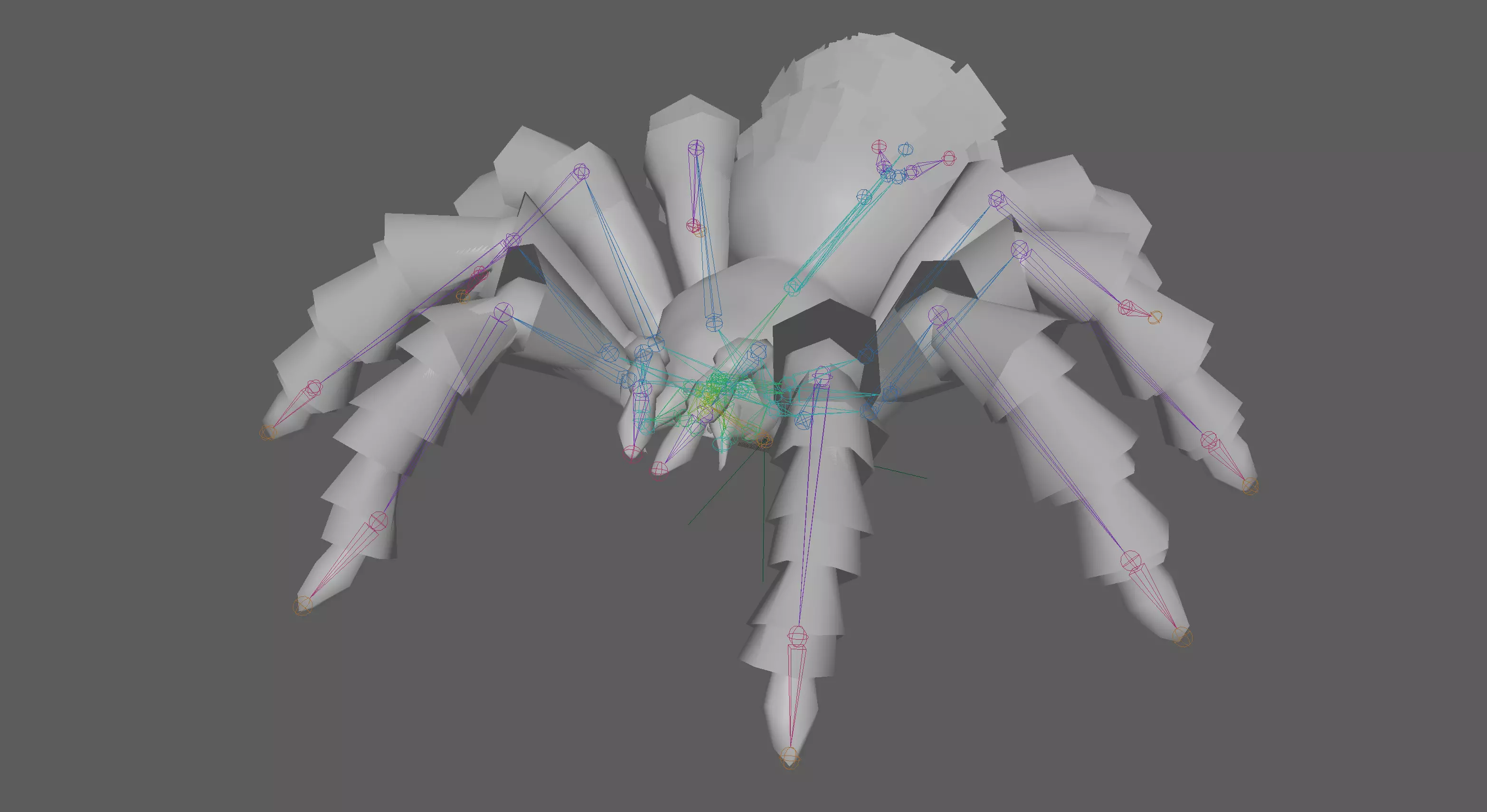 Spider Tarantula Low-poly 3D model_8