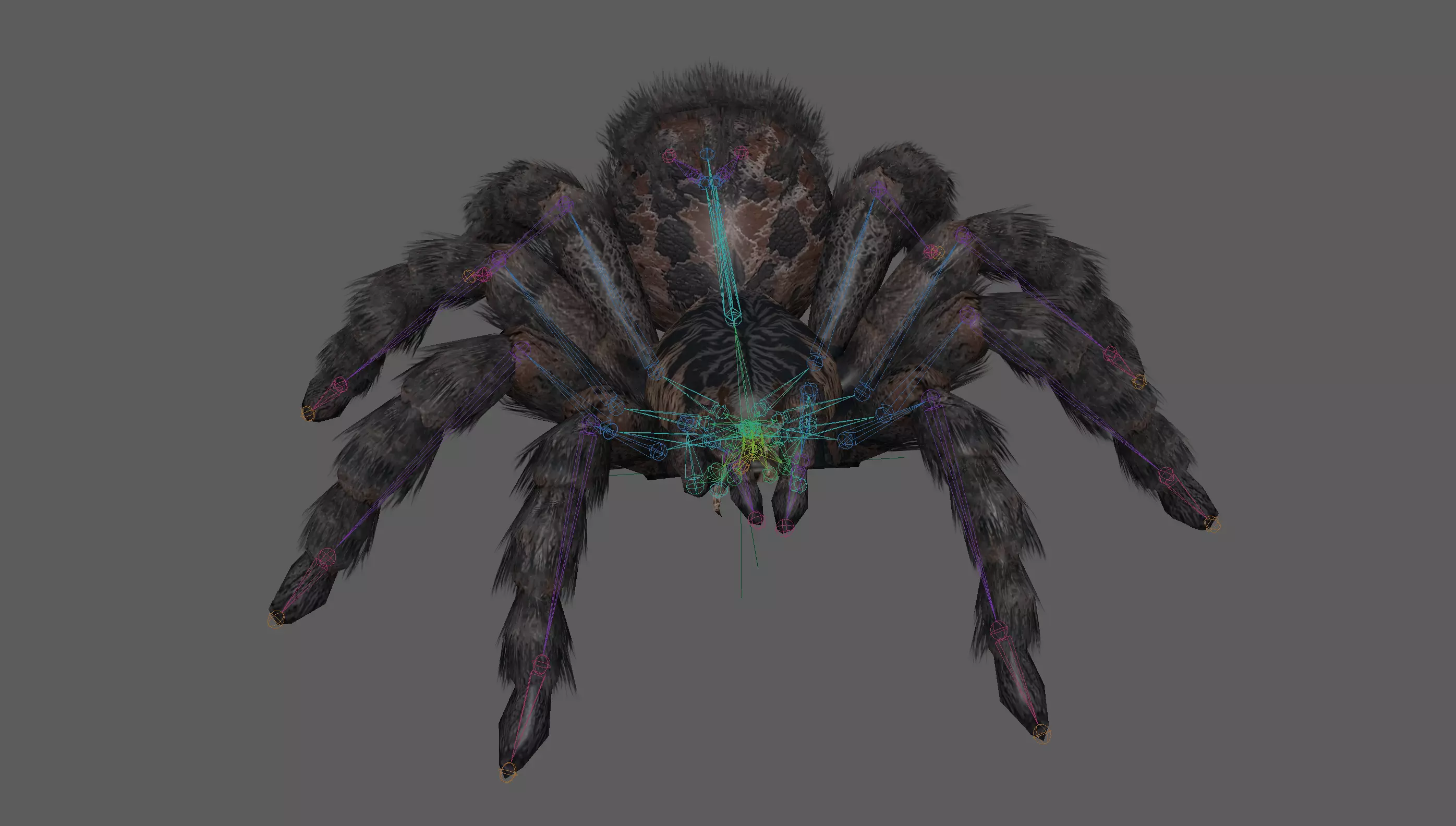 Spider Tarantula Low-poly 3D model_14