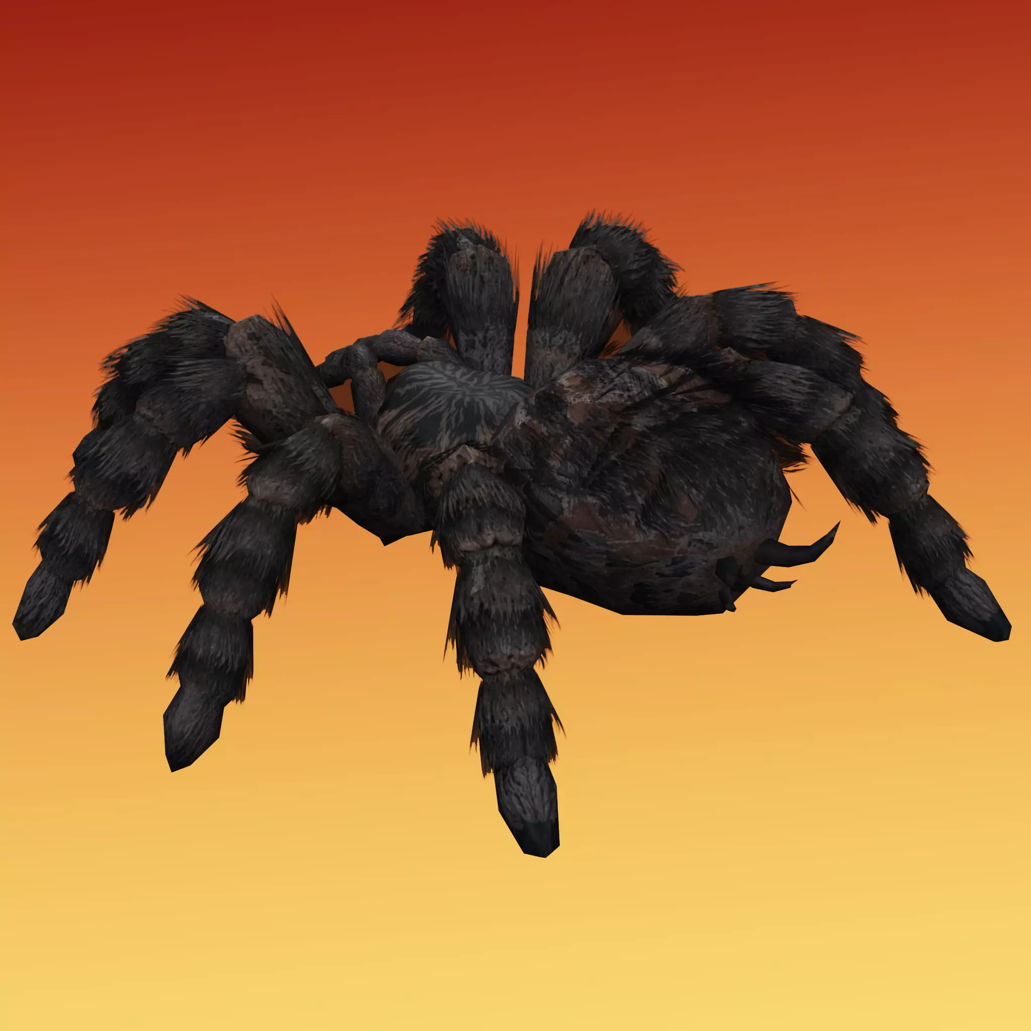 Spider Tarantula Low-poly 3D model_4