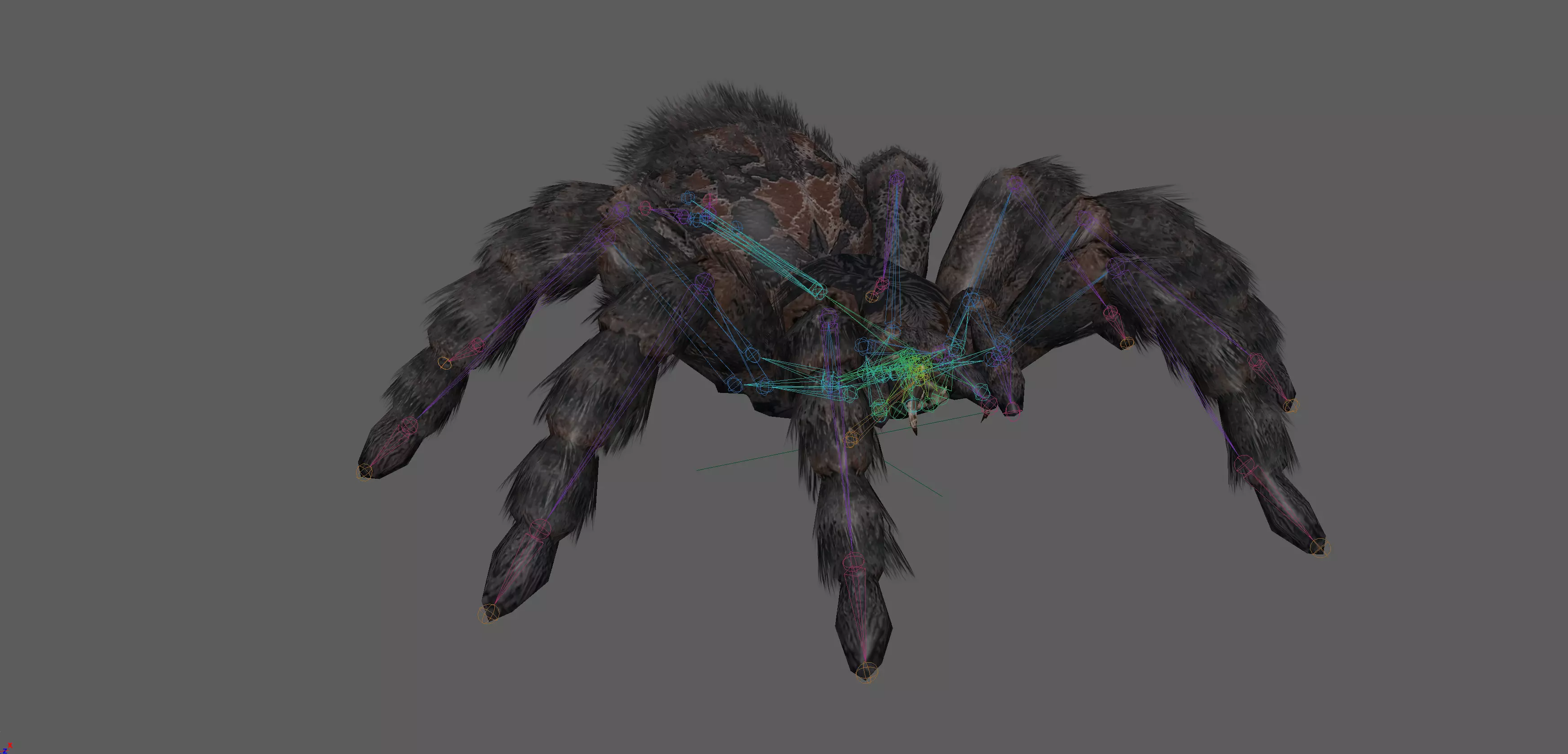 Spider Tarantula Low-poly 3D model_6